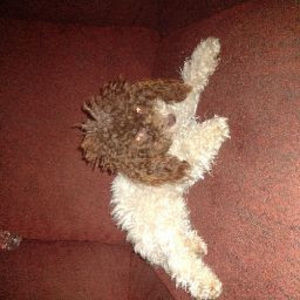 Meet your Posher, Mayra